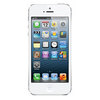 Apple iPhone 5 16Gb white - Новый Уренгой